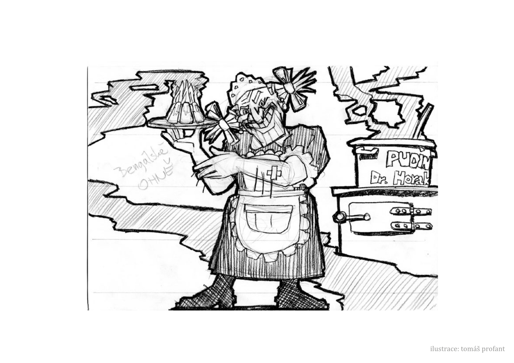 _images/horak_1-str%C3%A1nka011.png