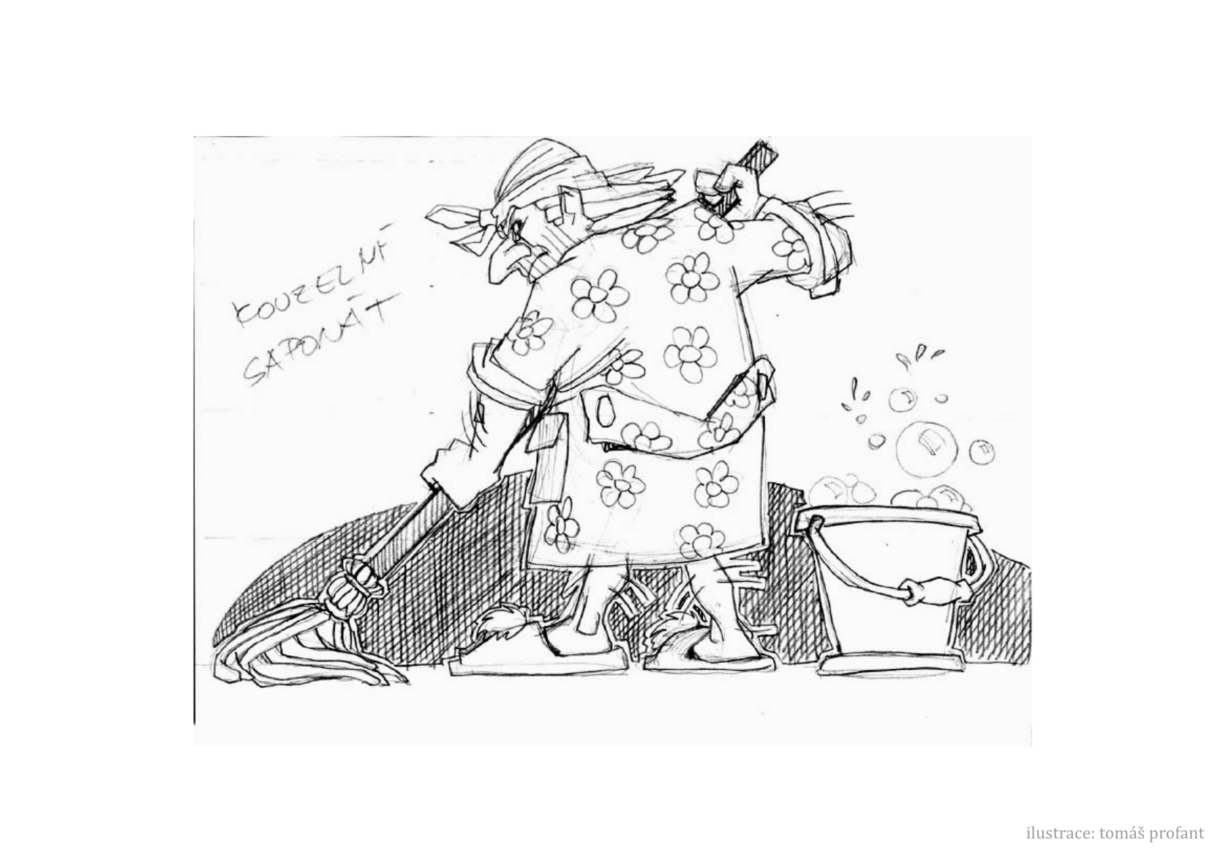 _images/horak_1-str%C3%A1nka037.png